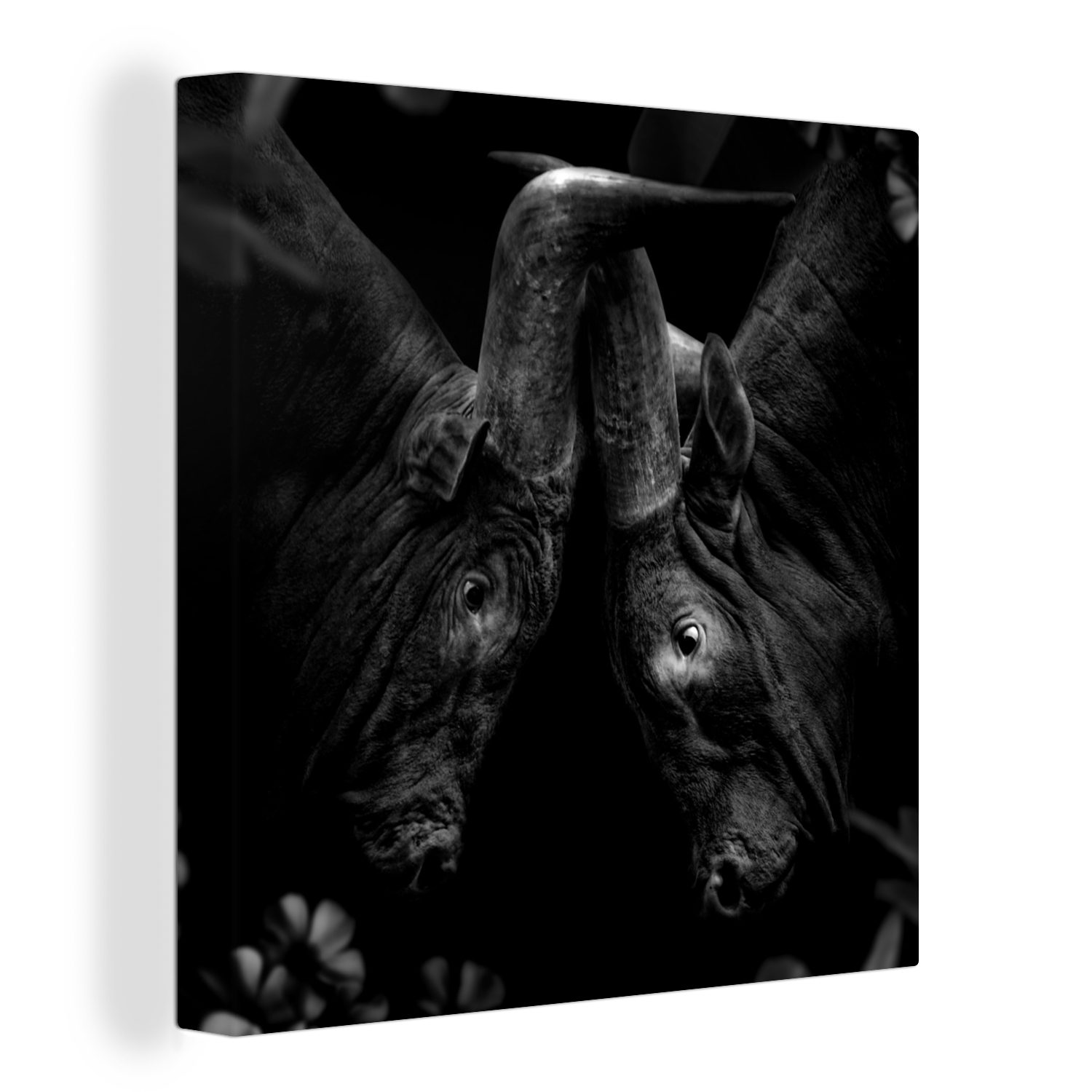 Kühe (1 Schwarz OneMillionCanvasses® Weiß, - - Leinwandbild - für Tiere Wohnzimmer Bilder Dschungel - Schlafzimmer St), Leinwand