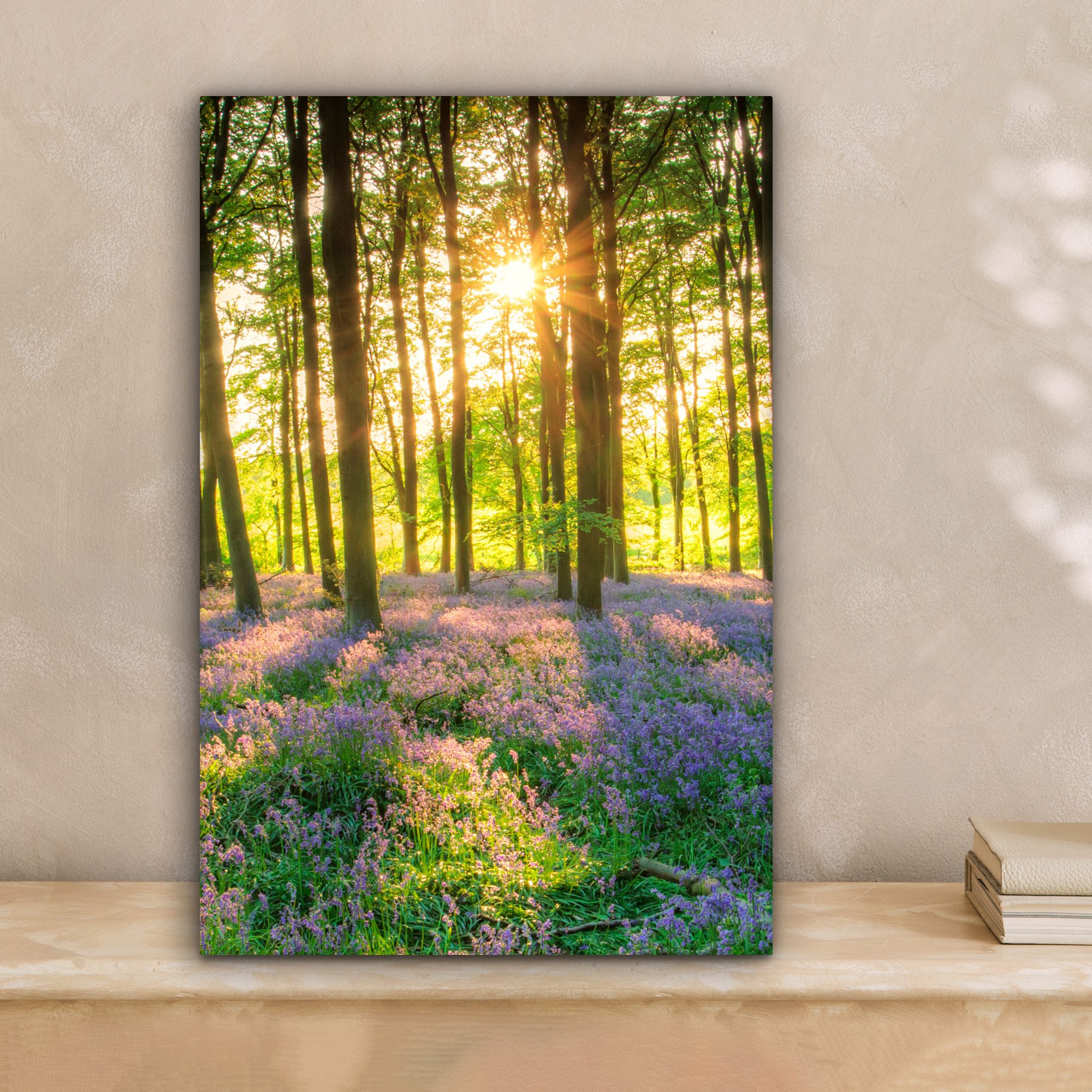 OneMillionCanvasses® Leinwandbild Frühling - Wald - Sonne, Fotodruck (1 St) günstig online kaufen