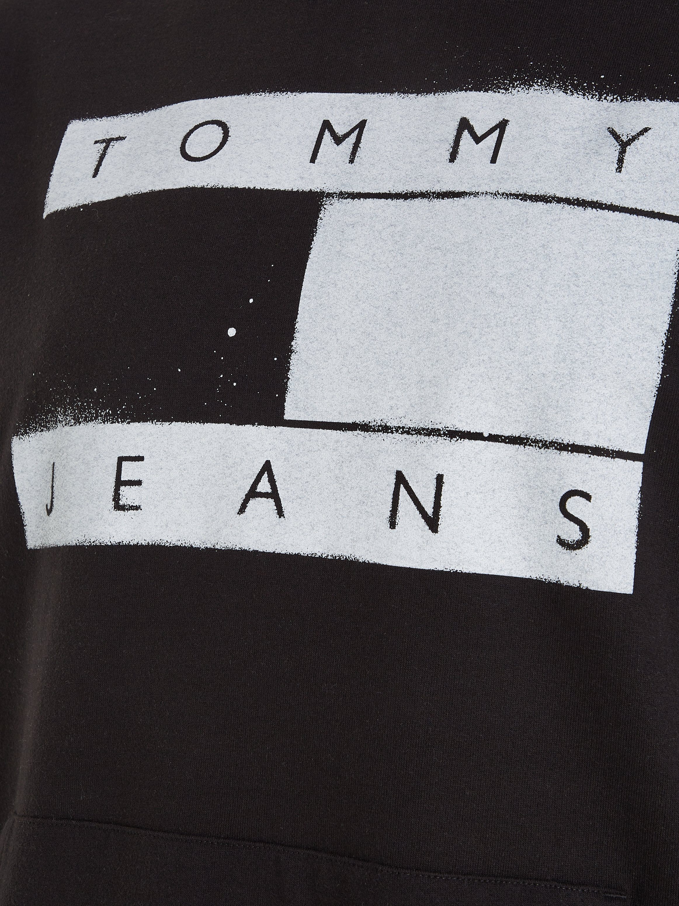 Tommy Jeans Plus RLX HOODIE TJM Hoodie SPRAY PLUS FLAG