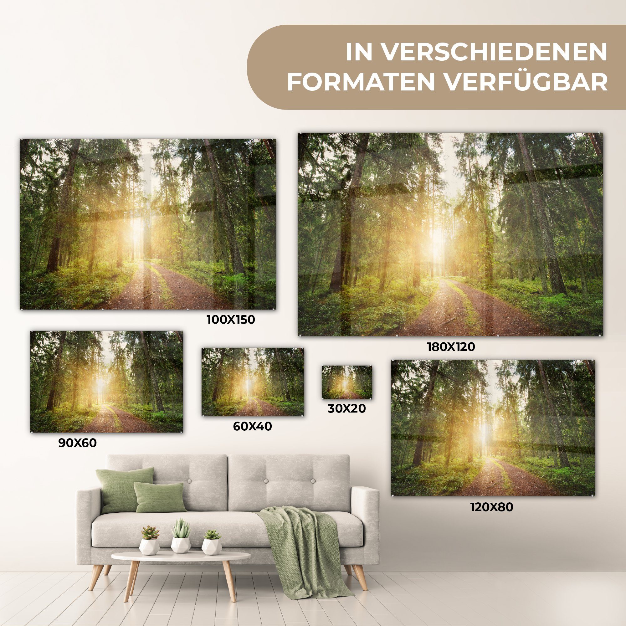 Schlafzimmer Acrylglasbild MuchoWow & (1 Wald Baum St), - Acrylglasbilder Wohnzimmer - Sonne,