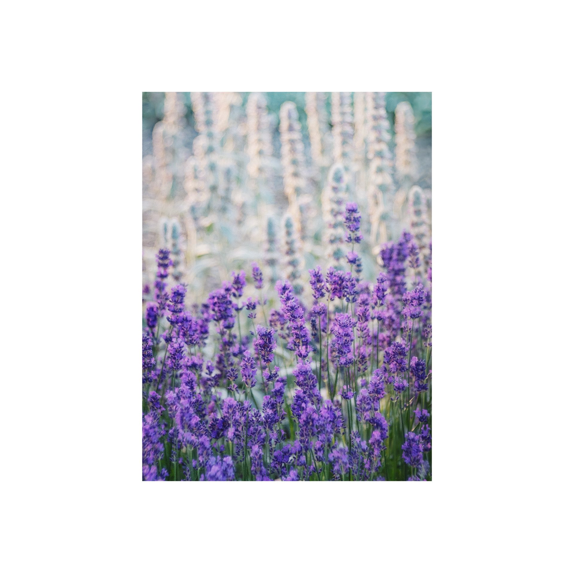 Roomy Fensterfolie Fensterfolie