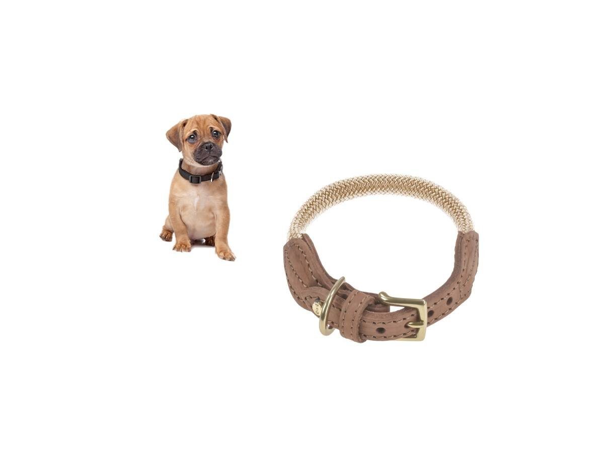 Denjo Dogs Hunde-Halsband Torekov, Leder und Nylon, Halsband, fellschonende Messingschnalle, Leder, Nylon, Premium