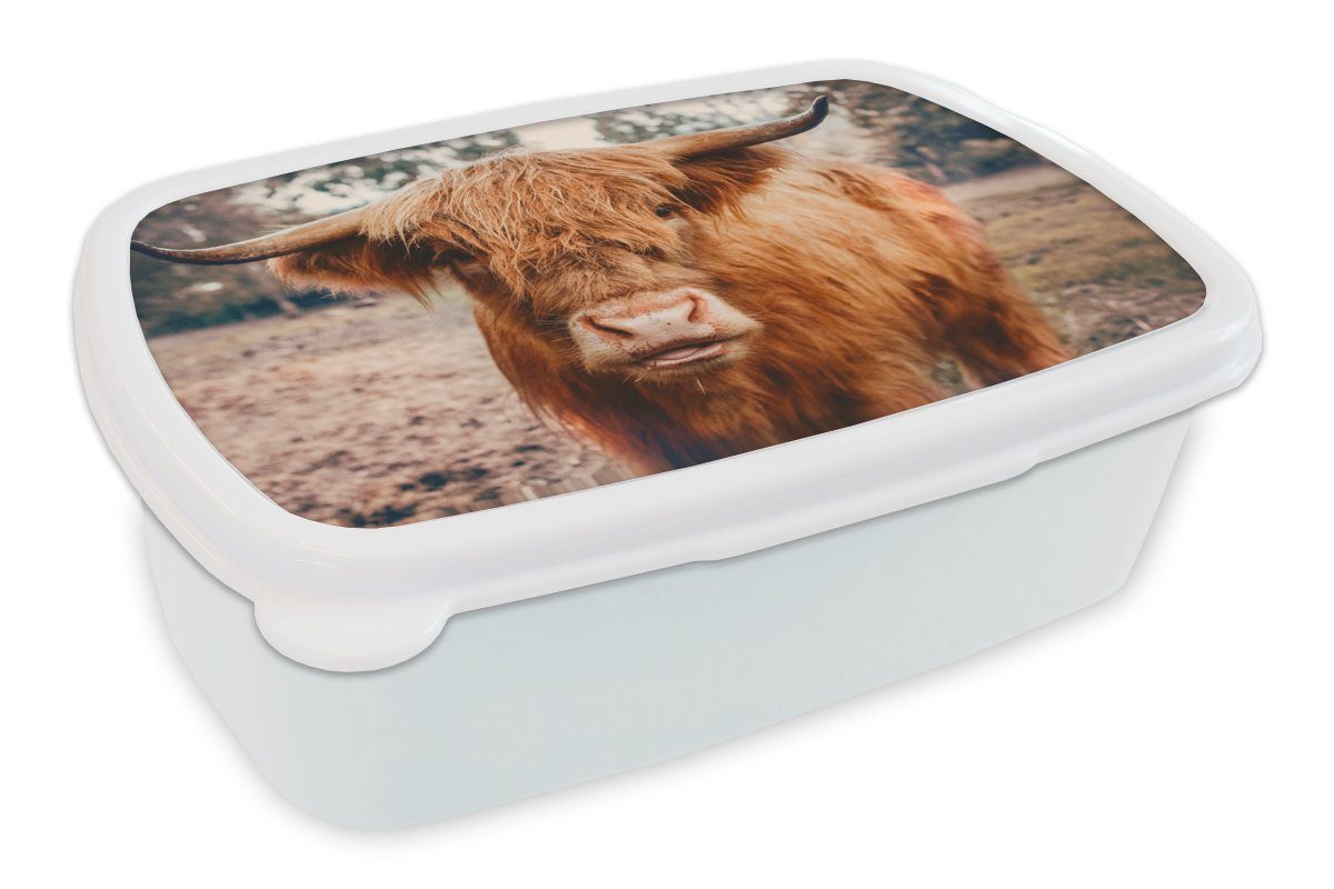 MuchoWow Lunchbox Kuh - Schottischer Hochländer - Hörner - Braun - Landschaft, Kunststoff, (2-tlg), Brotbox für Kinder und Erwachsene, Brotdose, für Jungs und Mädchen weiß