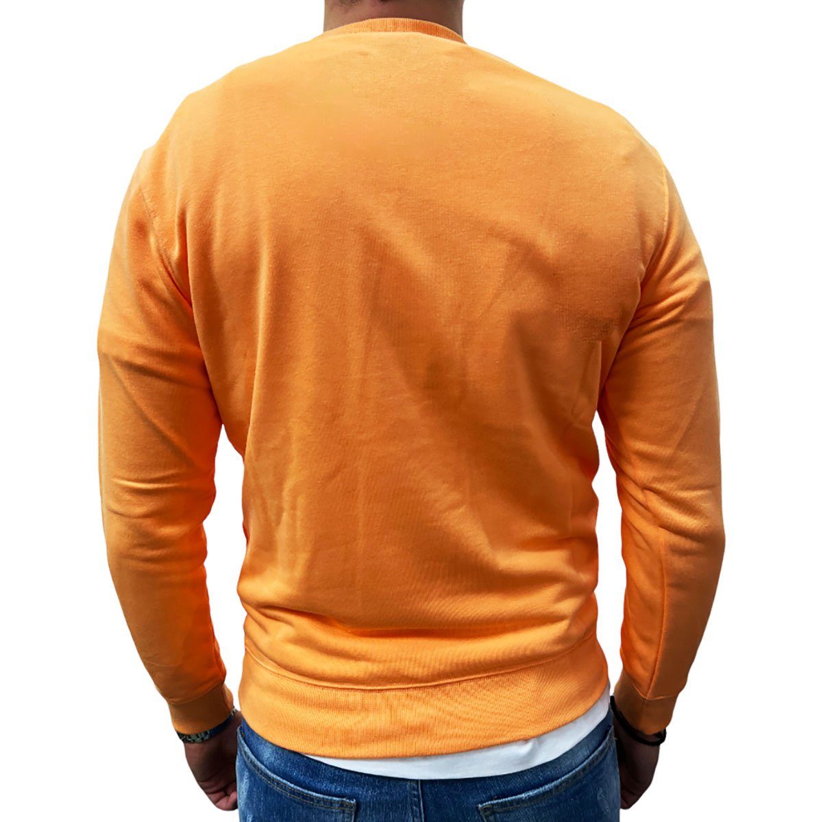 Logo Champion Sweater (1-tlg) orange