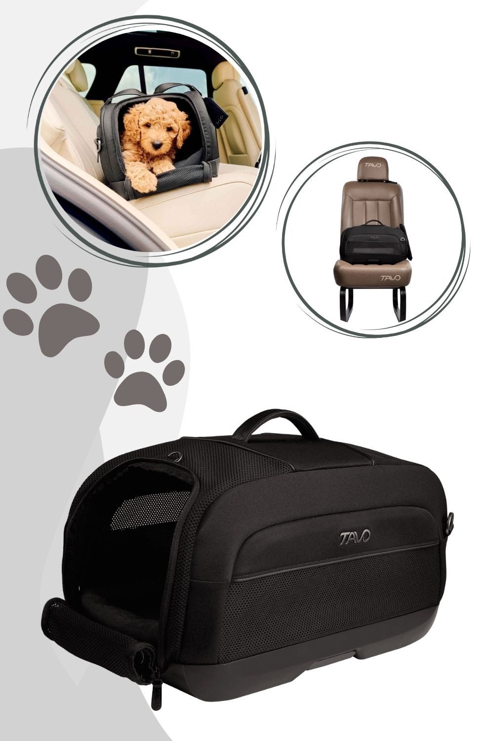 Tavo Hunde-Transportbox Dupree II Tiertransporttasche