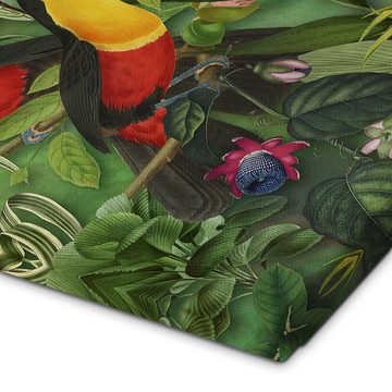 Posterlounge Leinwandbild Andrea Haase, Tucans im Dschungel, Illustration