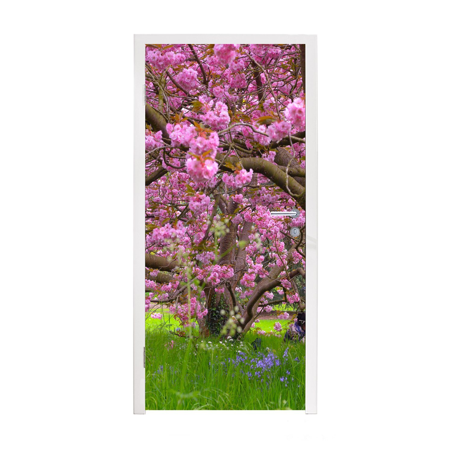 Türtapete bedruckt, Fototapete Rosa, - Tür, Matt, - MuchoWow (1 Kirschbaum cm Türaufkleber, St), Blüte für 75x205