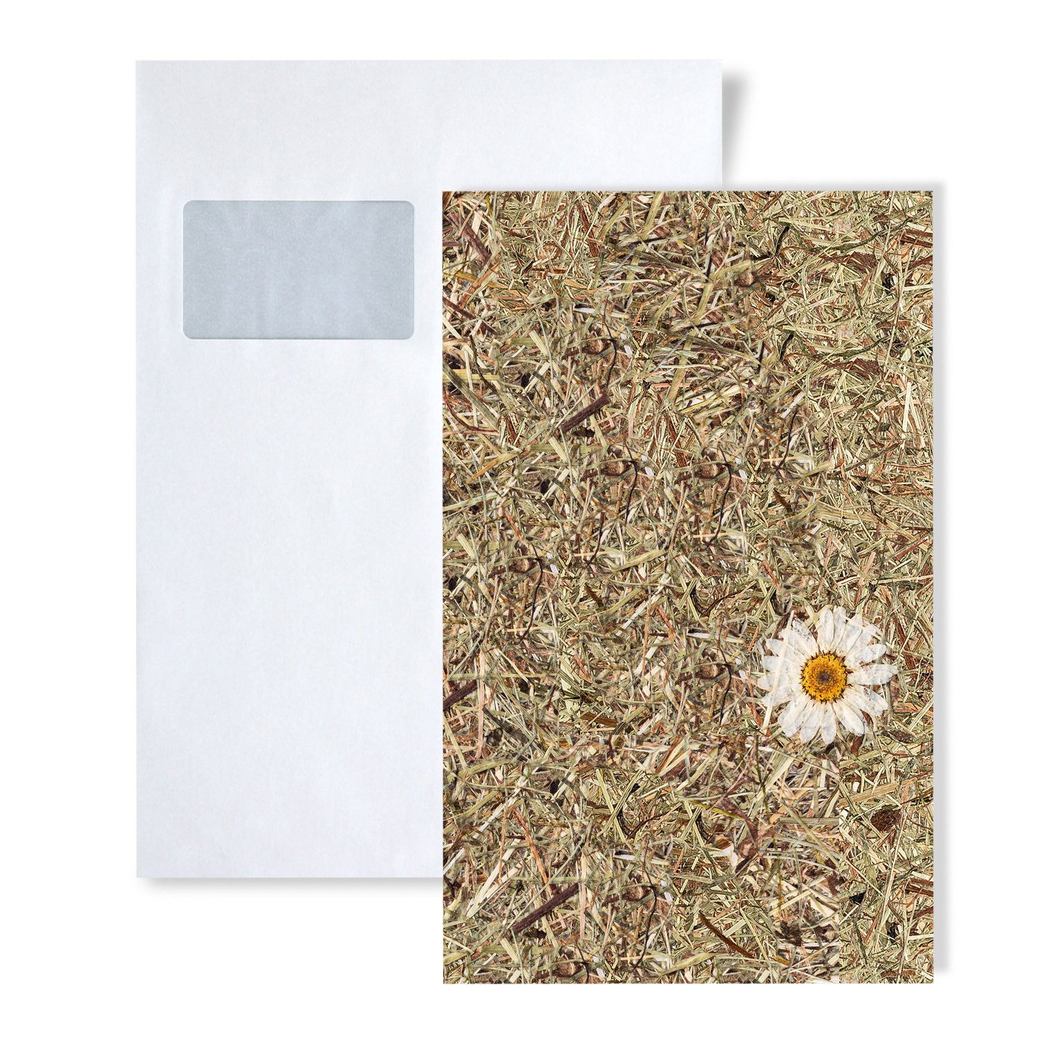 Wallface Dekorpaneele 1 MUSTERSTÜCK S-AL-11004 DIN A5 Wandverkleidung ALPINE DAISY, BxL: 15x20 cm, 0 qm, (1 MUSTERSTÜCK, Produktmuster, 1-tlg., Muster des Dekorpaneels) braun, weiß