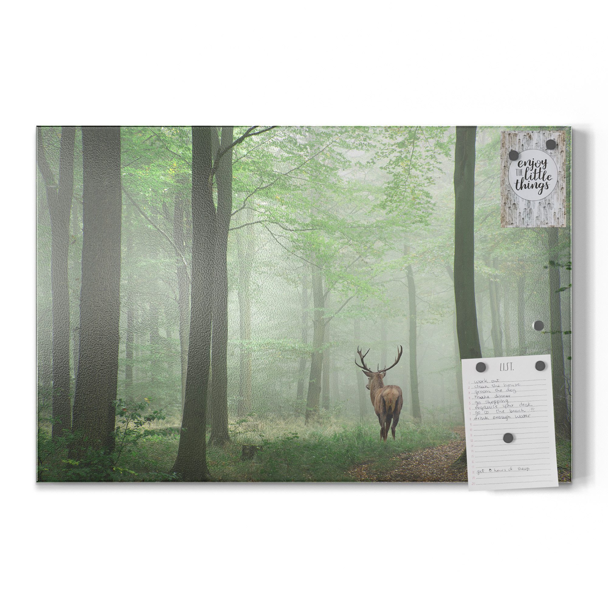 DEQORI Magnettafel 'Hirsch zwischen Bäumen', Metall Whiteboard für alle Magnete, Magnetboard magnetisch