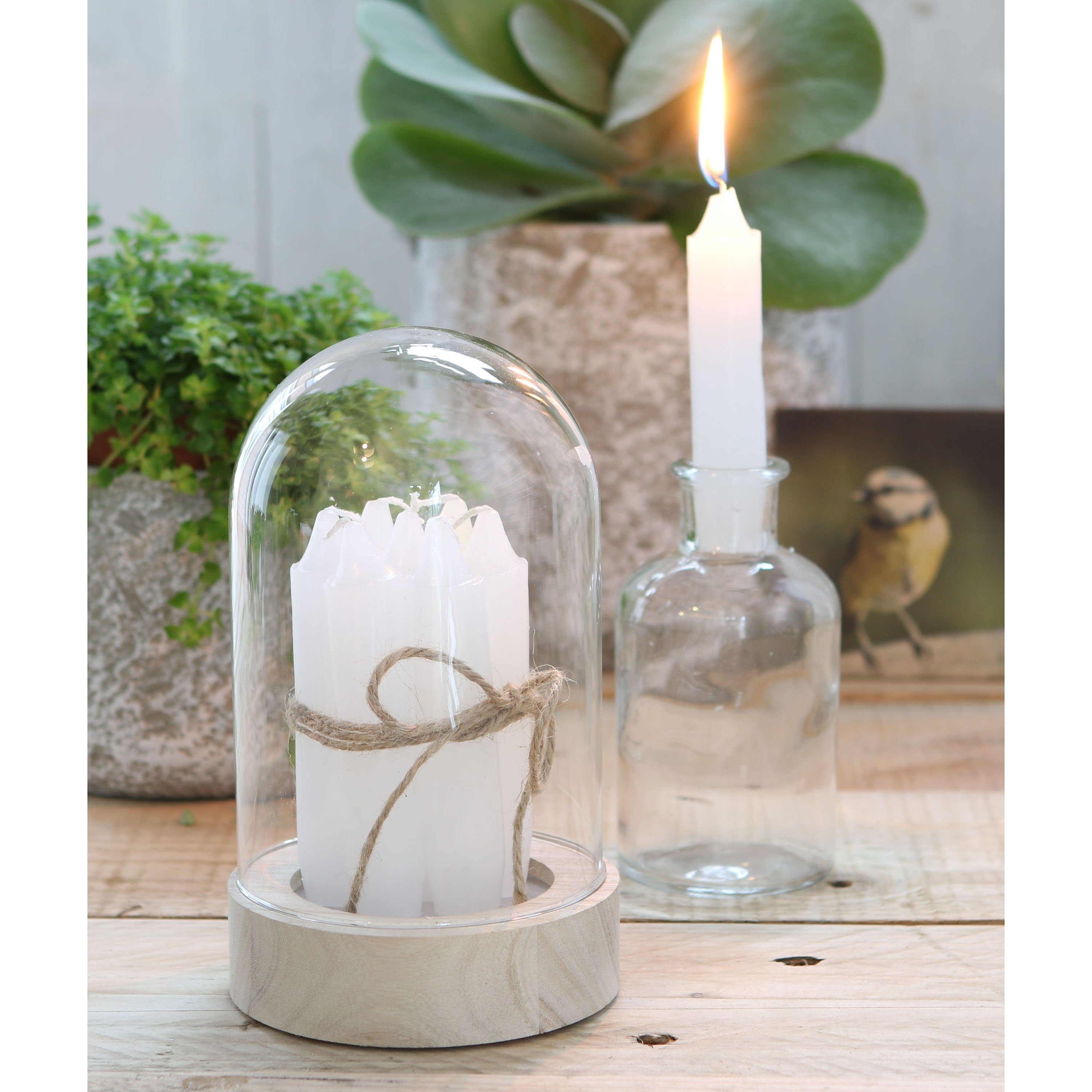 Annastore Spitzkerze 7-tlg. Set Kerzen H 11 cm - Stabkerzen für Flaschen und Vasen