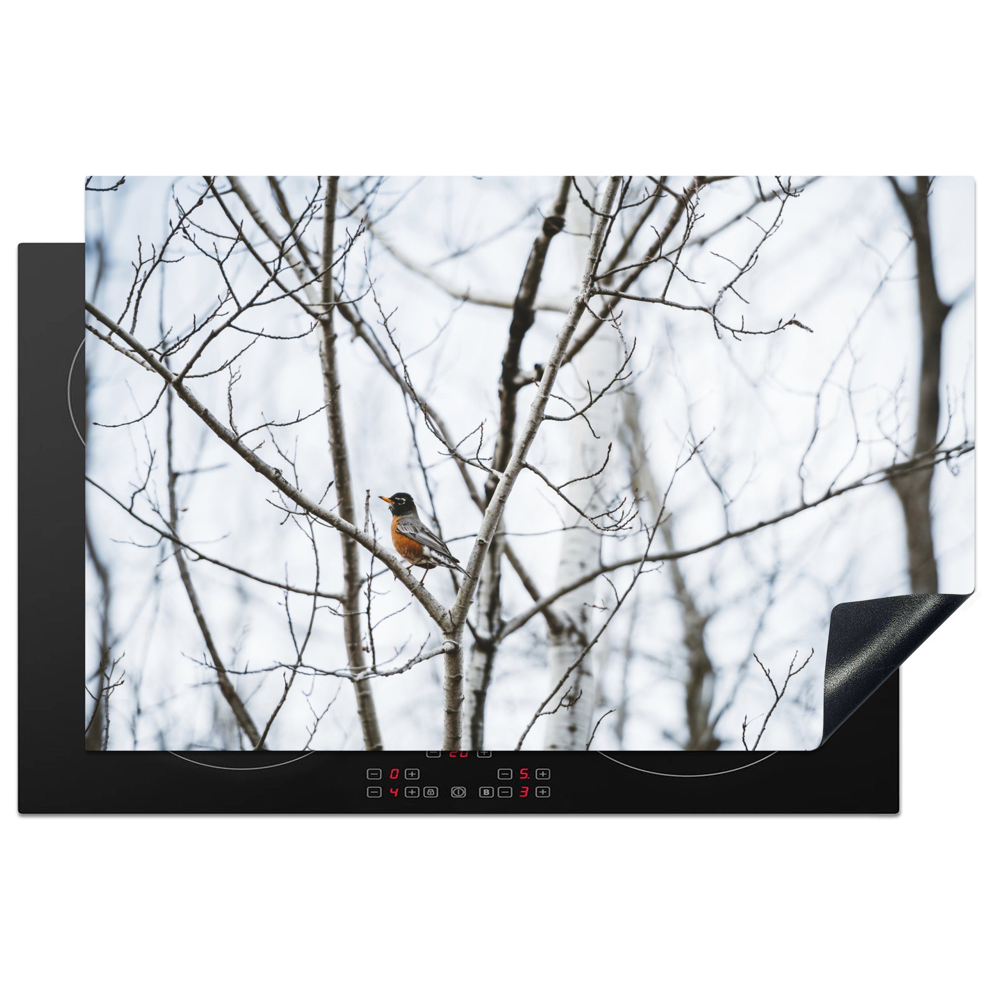 MuchoWow Herdblende-/Abdeckplatte Vogel in den Bäumen, Vinyl, (1 tlg), 81x52 cm, Induktionskochfeld Schutz für die küche, Ceranfeldabdeckung