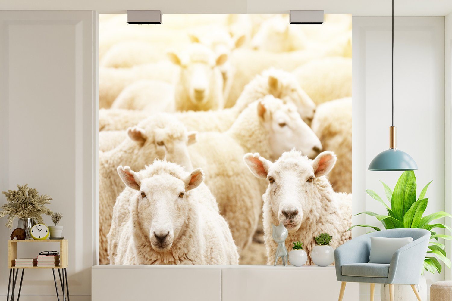 Matt, Wandtapete - Schafe Fototapete MuchoWow oder St), für (5 - Wohnzimmer Vinyl Schlafzimmer, bedruckt, Weiß, Tapete Wolle