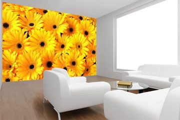 WandbilderXXL Fototapete Sunny Mood, glatt, Ocean, Vliestapete, hochwertiger Digitaldruck, in verschiedenen Größen