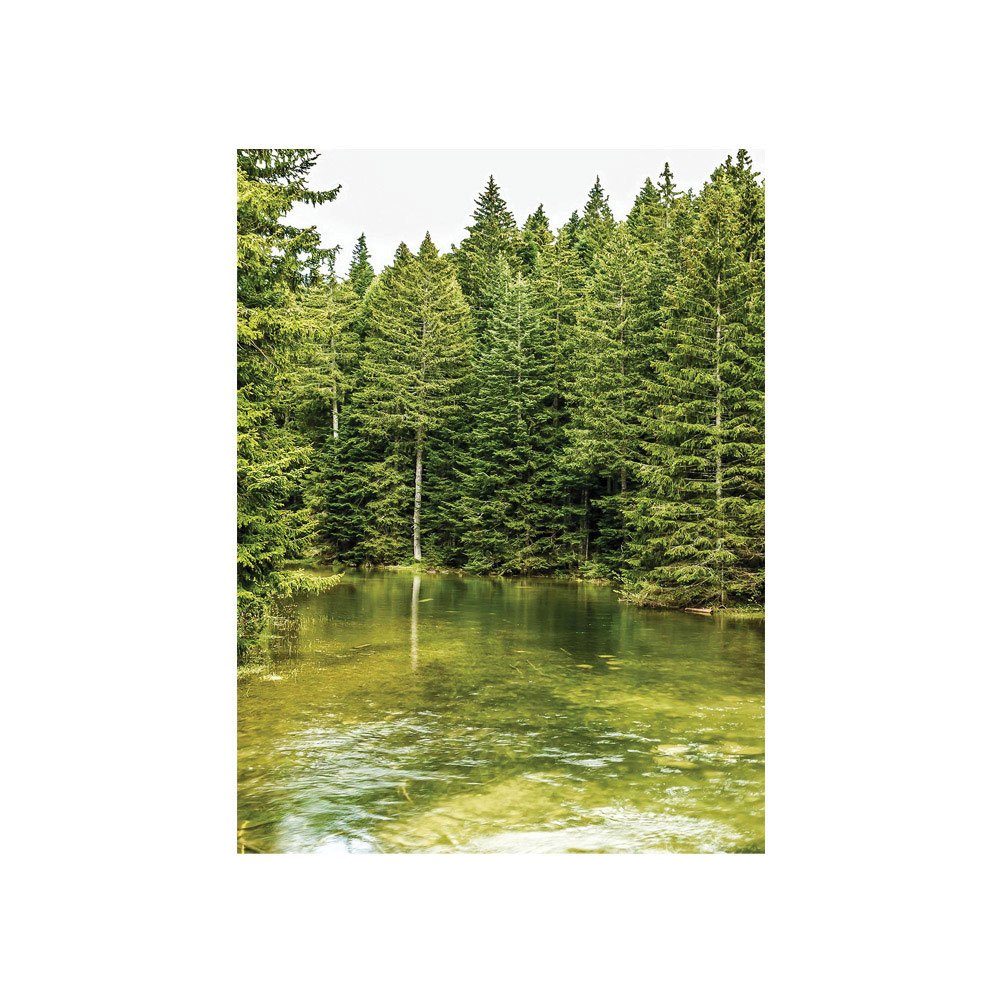 Bäume 1616, Fluss Natur Fototapete liwwing Wasser no. liwwing Wald Fototapete Natur