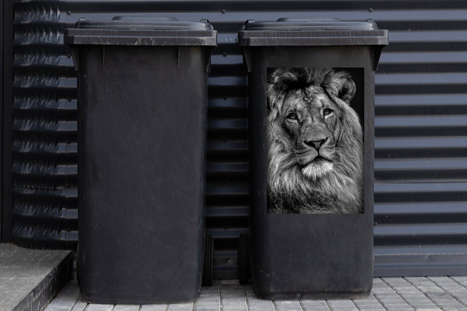 Löwe Wandsticker Sticker, schwarzem auf Mülleimer-aufkleber, Container, Mülltonne, - Abfalbehälter St), schwarz weiß und Hintergrund (1 MuchoWow Nahaufnahme