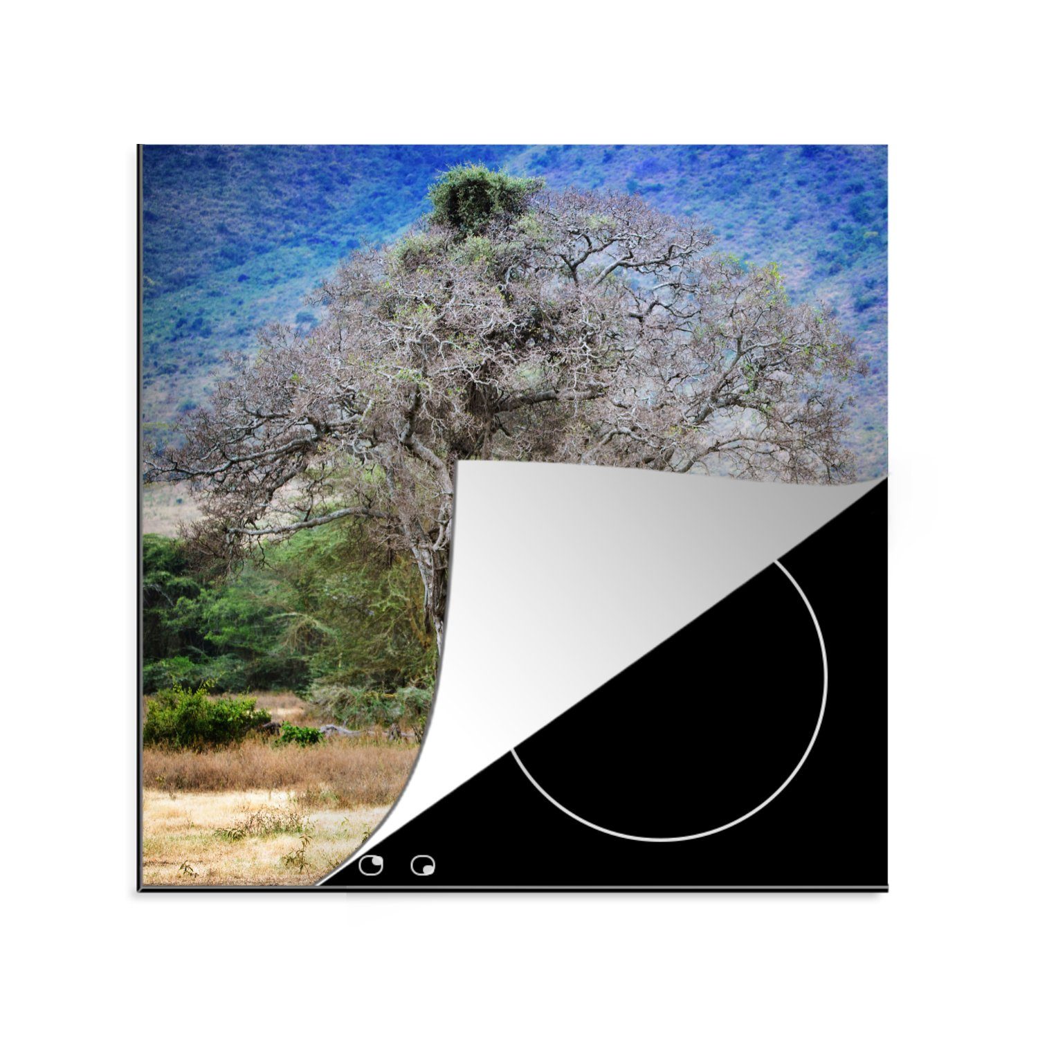 MuchoWow Herdblende-/Abdeckplatte Ein schönes Foto eines Affenbrotbaums im Ngorongoro-Krater, Vinyl, (1 tlg), 78x78 cm, Ceranfeldabdeckung, Arbeitsplatte für küche