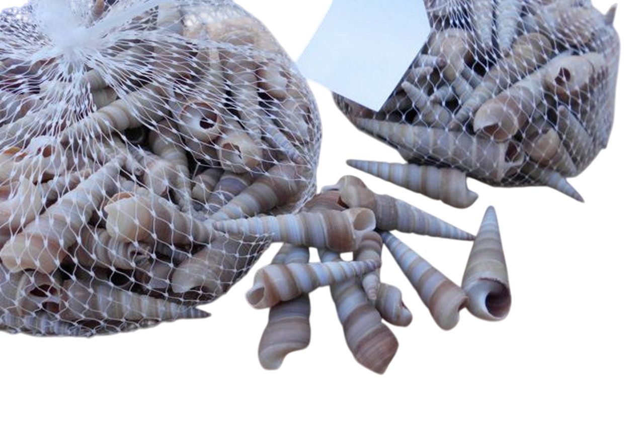 Deko-Impression Streudeko 2 Netze Muscheln 4-6 cm, beige. Mediterrane Deko Streudeko. Maritim, (2-tlg)