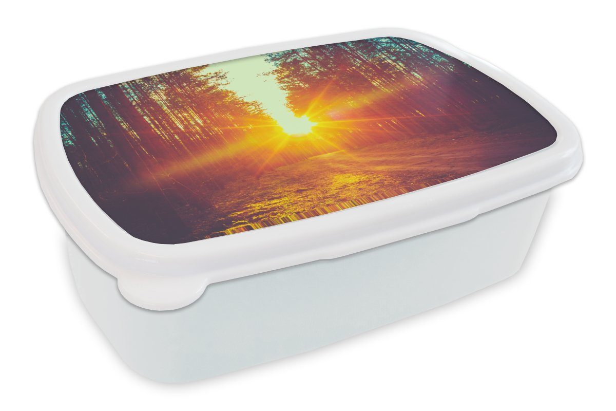 MuchoWow Lunchbox Sonnenuntergang - Bäume - Wald - Natur, Kunststoff, (2-tlg), Brotbox für Kinder und Erwachsene, Brotdose, für Jungs und Mädchen weiß