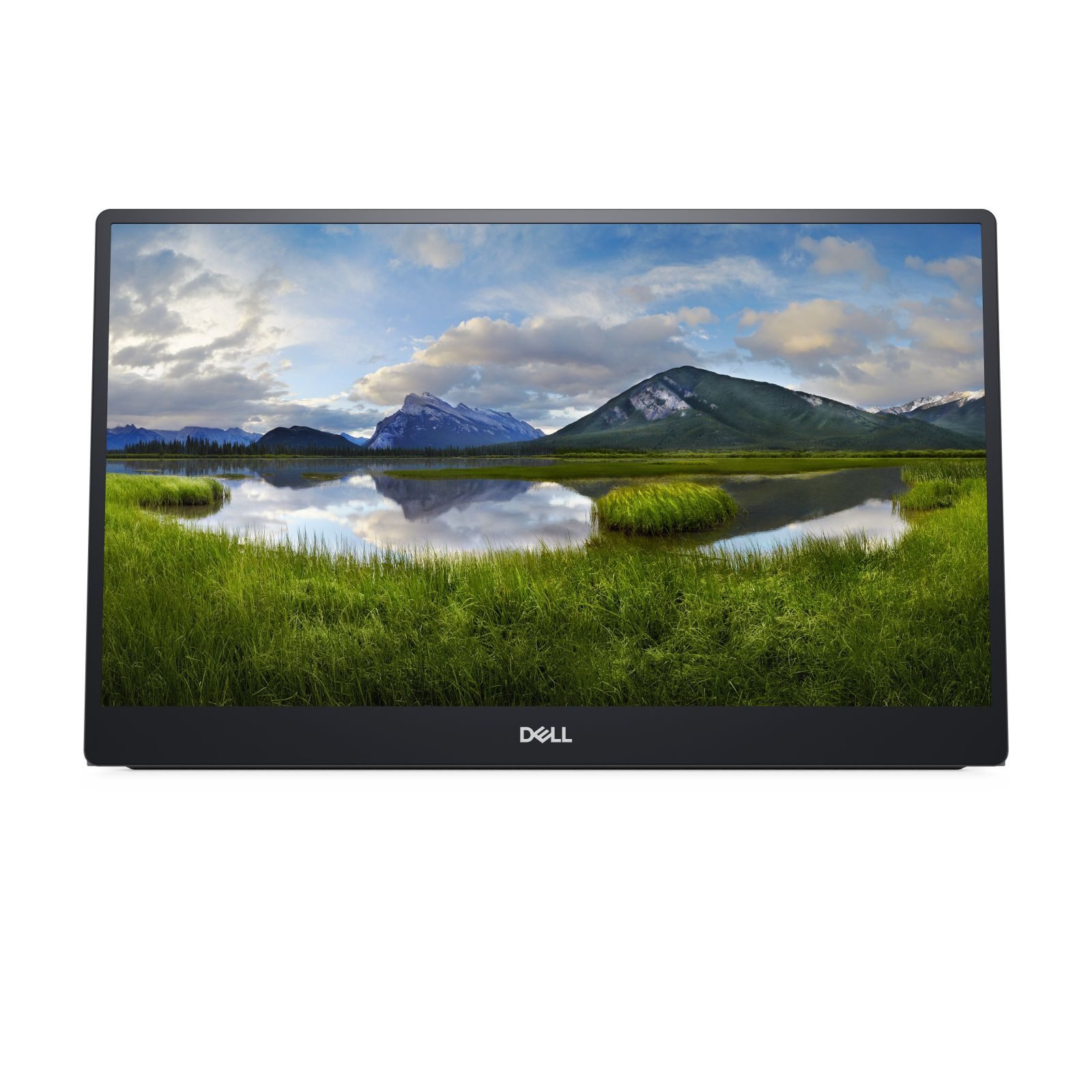 Portable LED P1424H - 35.56 cm (14) - 1920 x 1080 Full HD TFT-Monitor