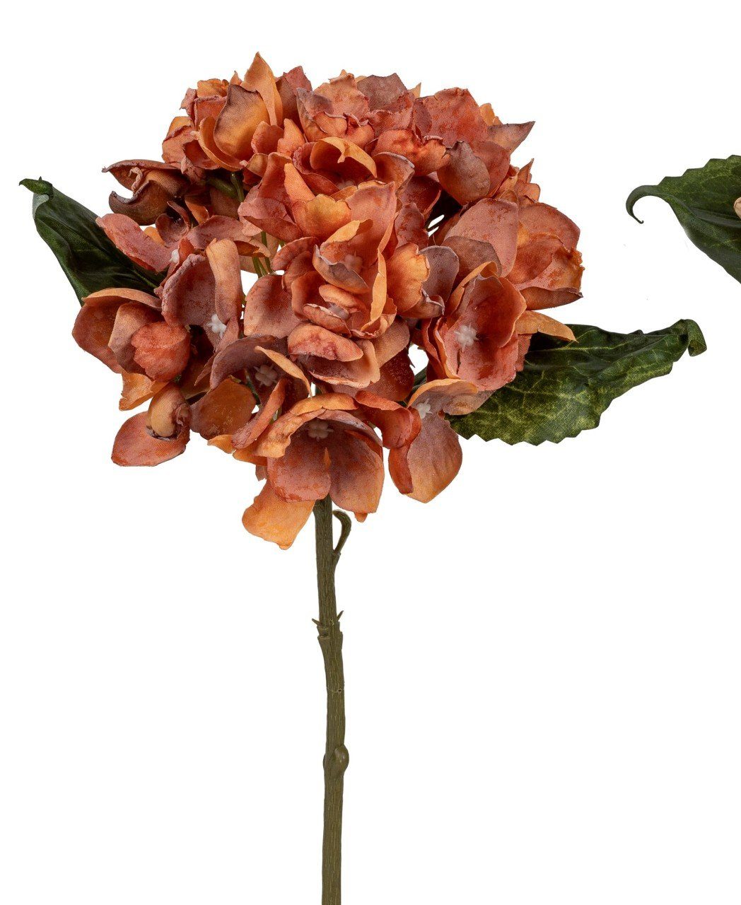 Kunstblume, formano, Höhe 34 cm, Orange H:34cm D:14cm Kunststoff