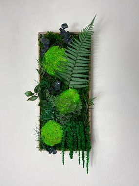 Gedankenwunder Manufaktur Bild Moosbild Ranken Dschungel Holz Rahmen Wandgarten Rechteck