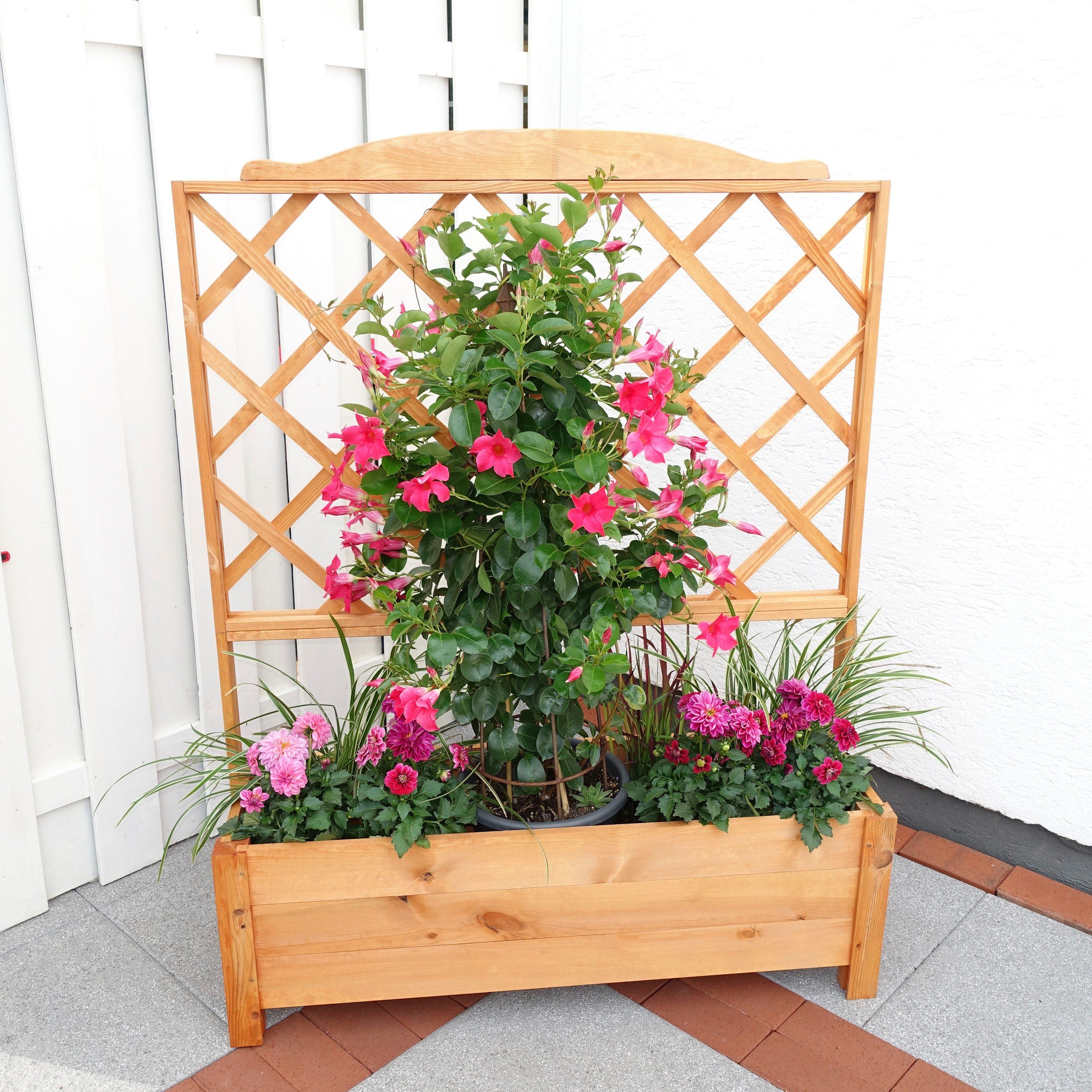 promadino Spalier, mit Pflanzkasten, BxTxH: 110x32x140 günstig online kaufen
