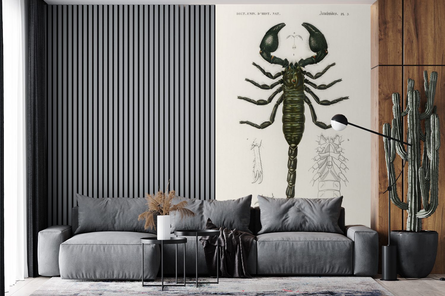 (3 Skorpion Fototapete für Jahrgang Kinderzimmer, Tapete Insekten, - bedruckt, MuchoWow Wallpaper Matt, - Wohnzimmer, St), Vinyl Schlafzimmer,