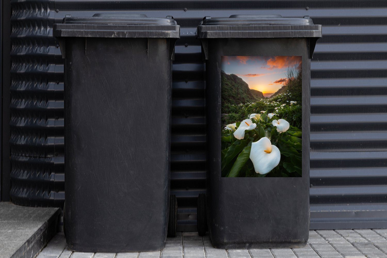 Mülltonne, Calla-Feld (1 Sticker, Abfalbehälter Sonnenuntergangshimmel St), Mülleimer-aufkleber, Container, über Wandsticker einem MuchoWow