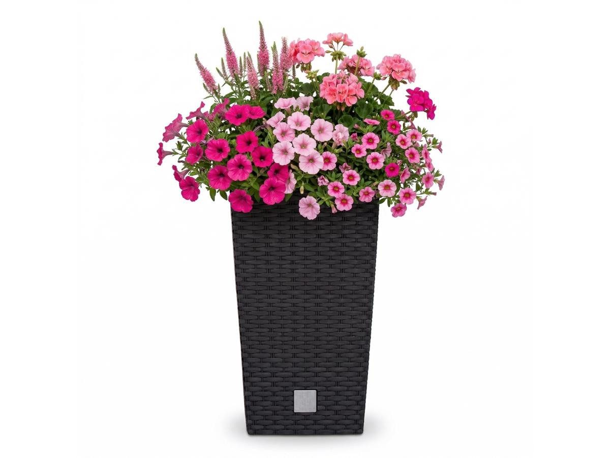 Prosperplast Blumentopf Rato Square, mit Einsatz, 32,5 x 32,5 x 61 cm, anthrazit, wetterfest & UV-beständig