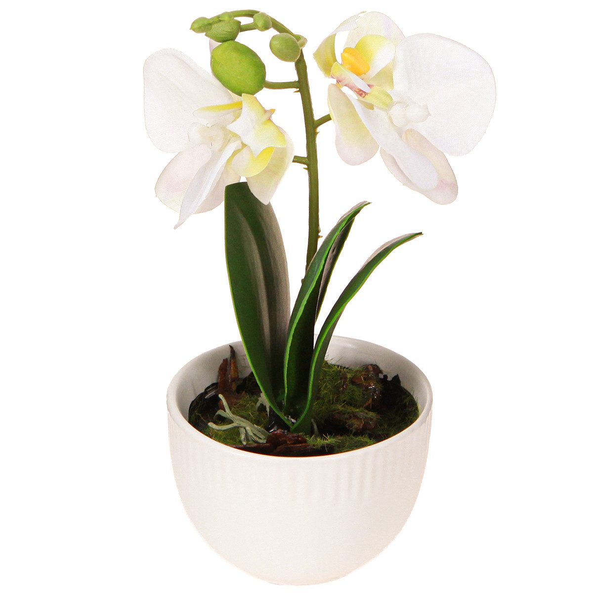 Kleine Kunstorchideen kaufen  Kleine knstliche Orchideen
