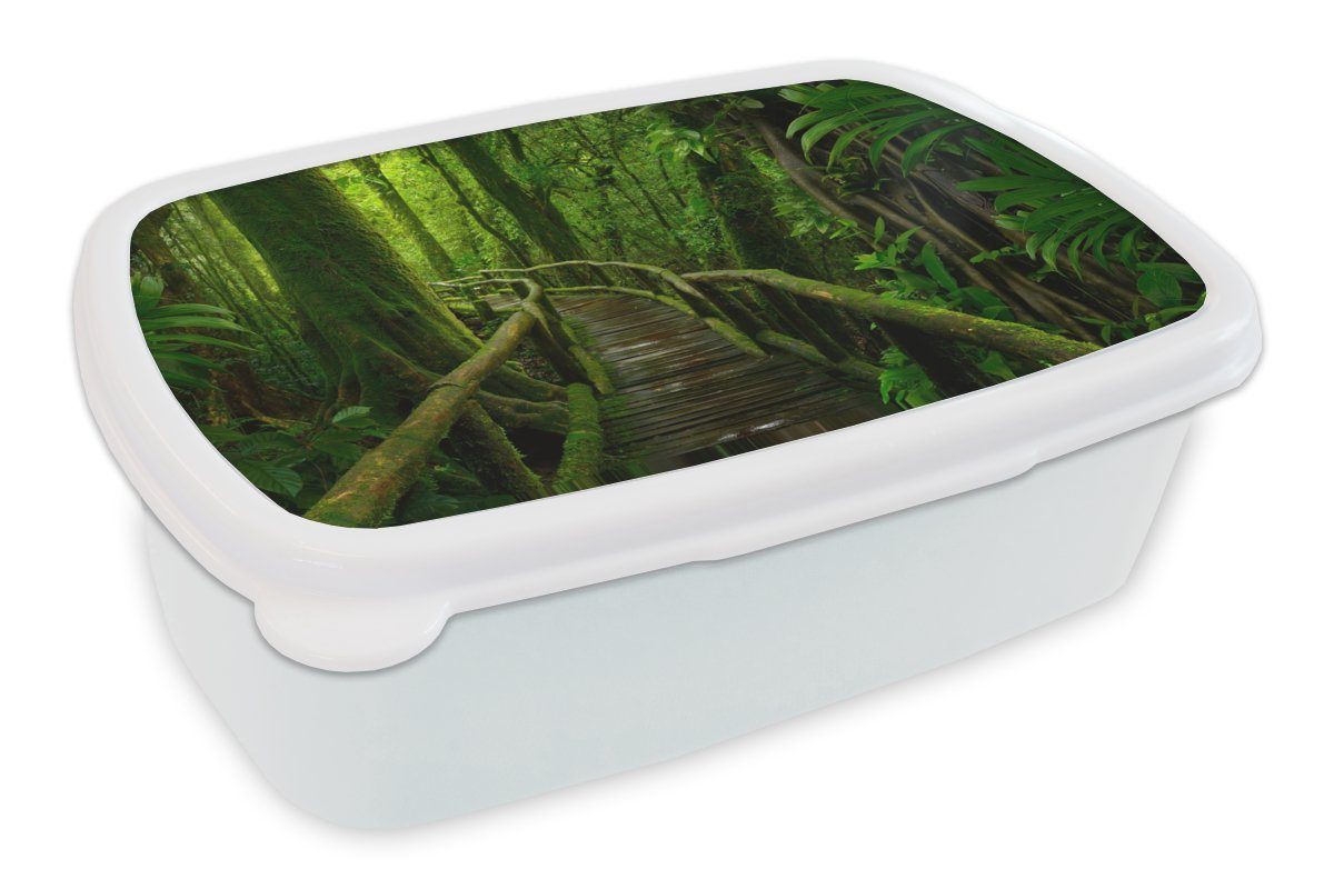MuchoWow Lunchbox Dschungel - Brücke - Moos - Natur - Tropisch, Kunststoff, (2-tlg), Brotbox für Kinder und Erwachsene, Brotdose, für Jungs und Mädchen weiß