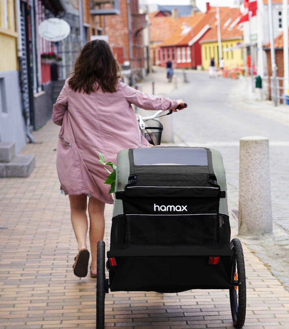 Hamax Fahrradkinderanhänger Avenida Kinderfahrradanhänger für 2 Kinder