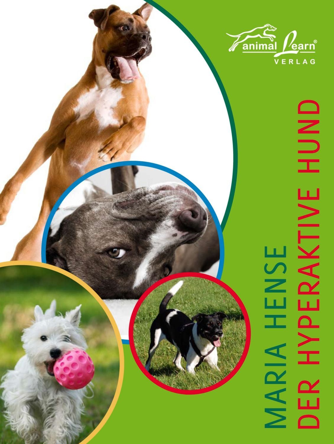 Der hyperaktive Hund / Maria Hense