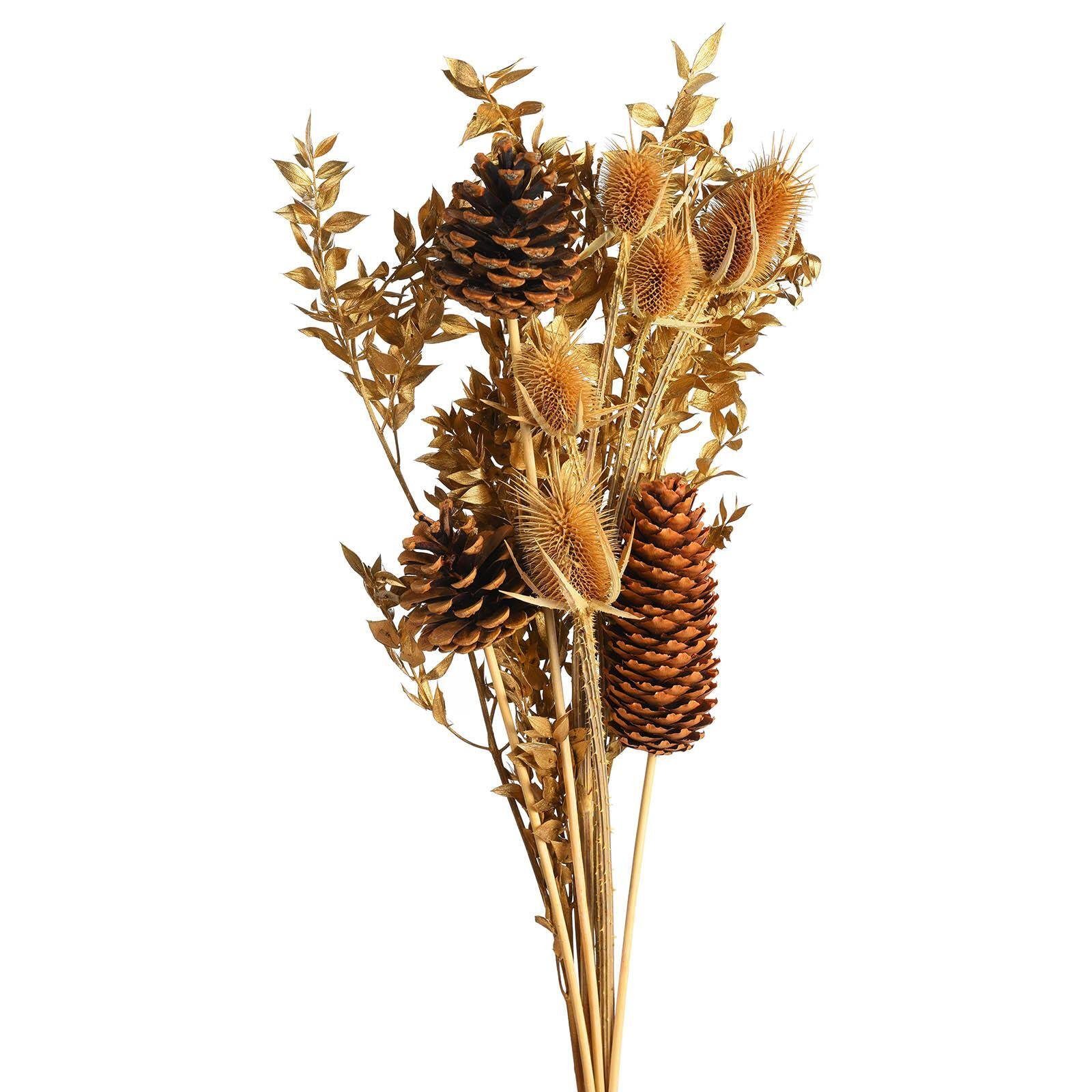 Trockenblume Trockenblumenstrauß Goldy, Depot, aus Trockenblume, L 55 Zentimeter