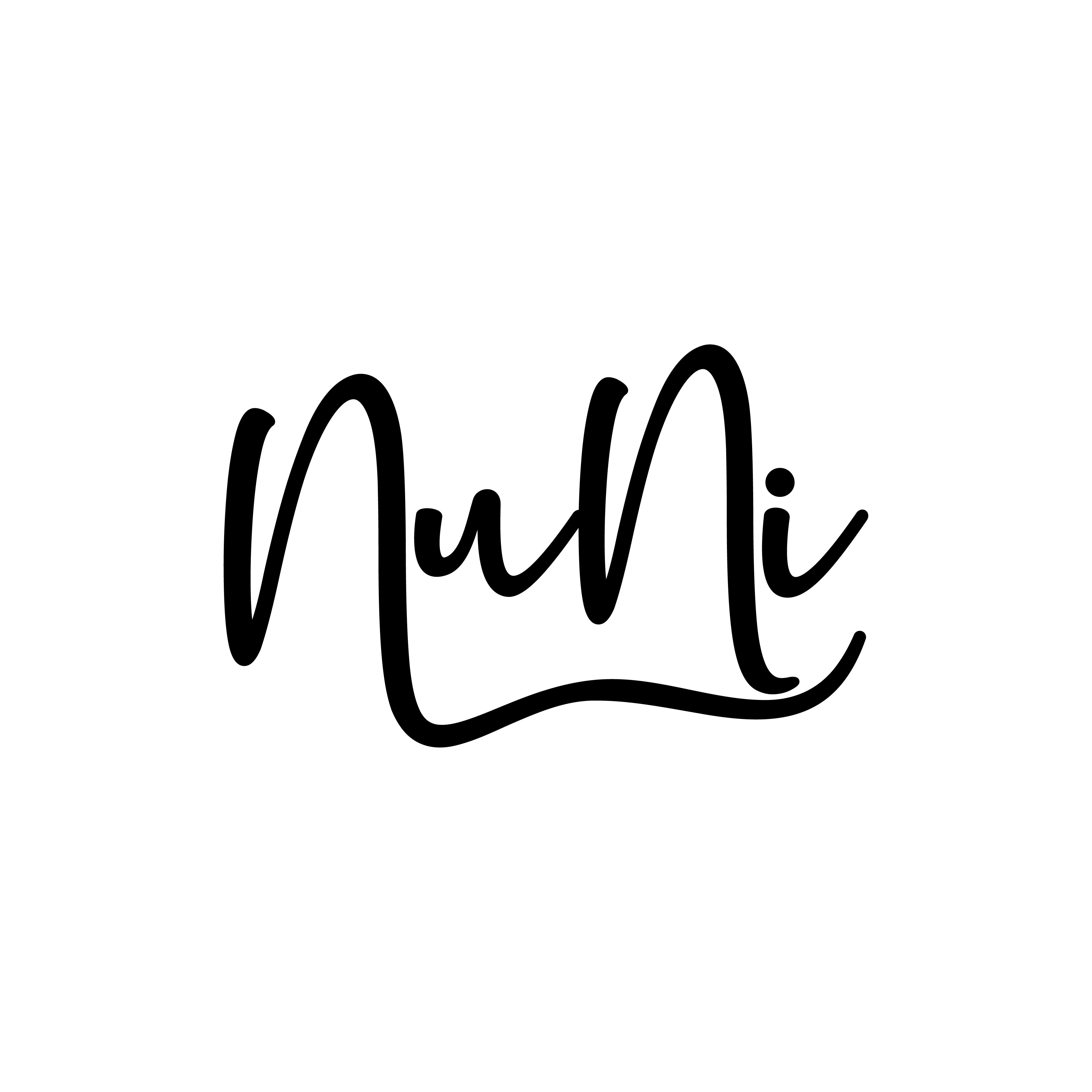 NuNi