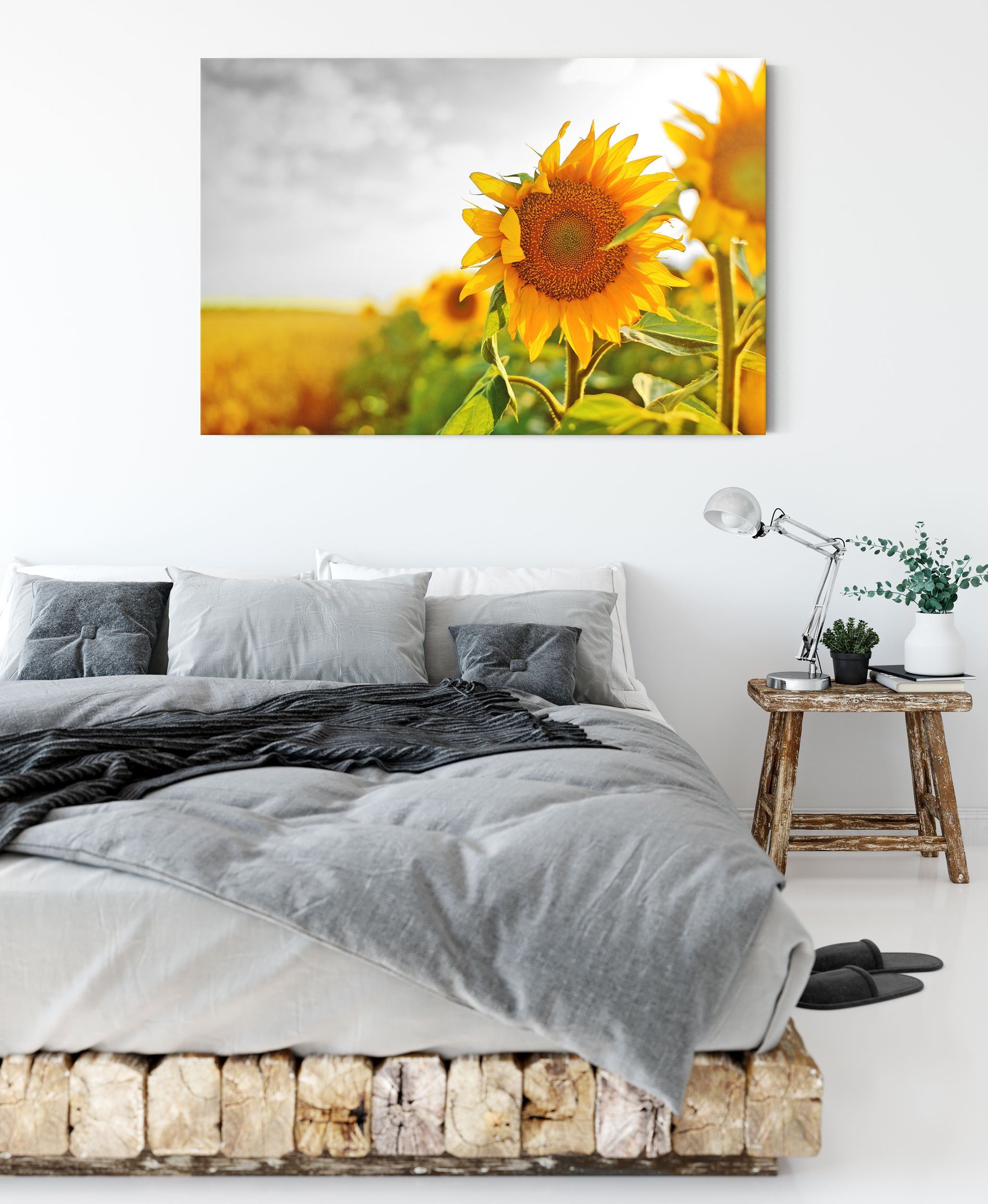 inkl. (1 Leinwandbild Nahaufnahme fertig Sonnenblume, Sonnenblume Zackenaufhänger einer St), Nahaufnahme Pixxprint einer Leinwandbild bespannt,