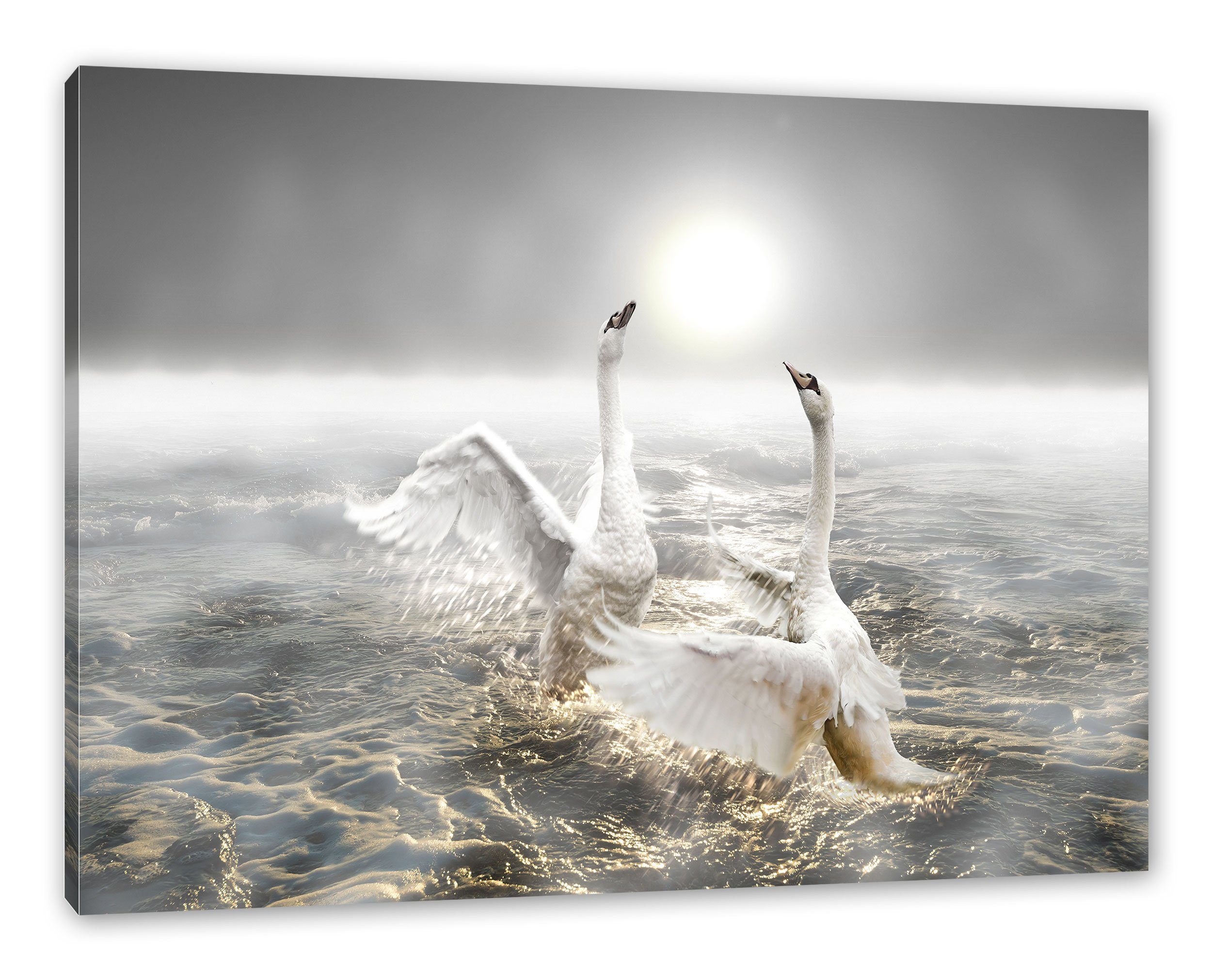 Pixxprint Leinwandbild Schwäne im Meer, Schwäne im Meer (1 St), Leinwandbild fertig bespannt, inkl. Zackenaufhänger