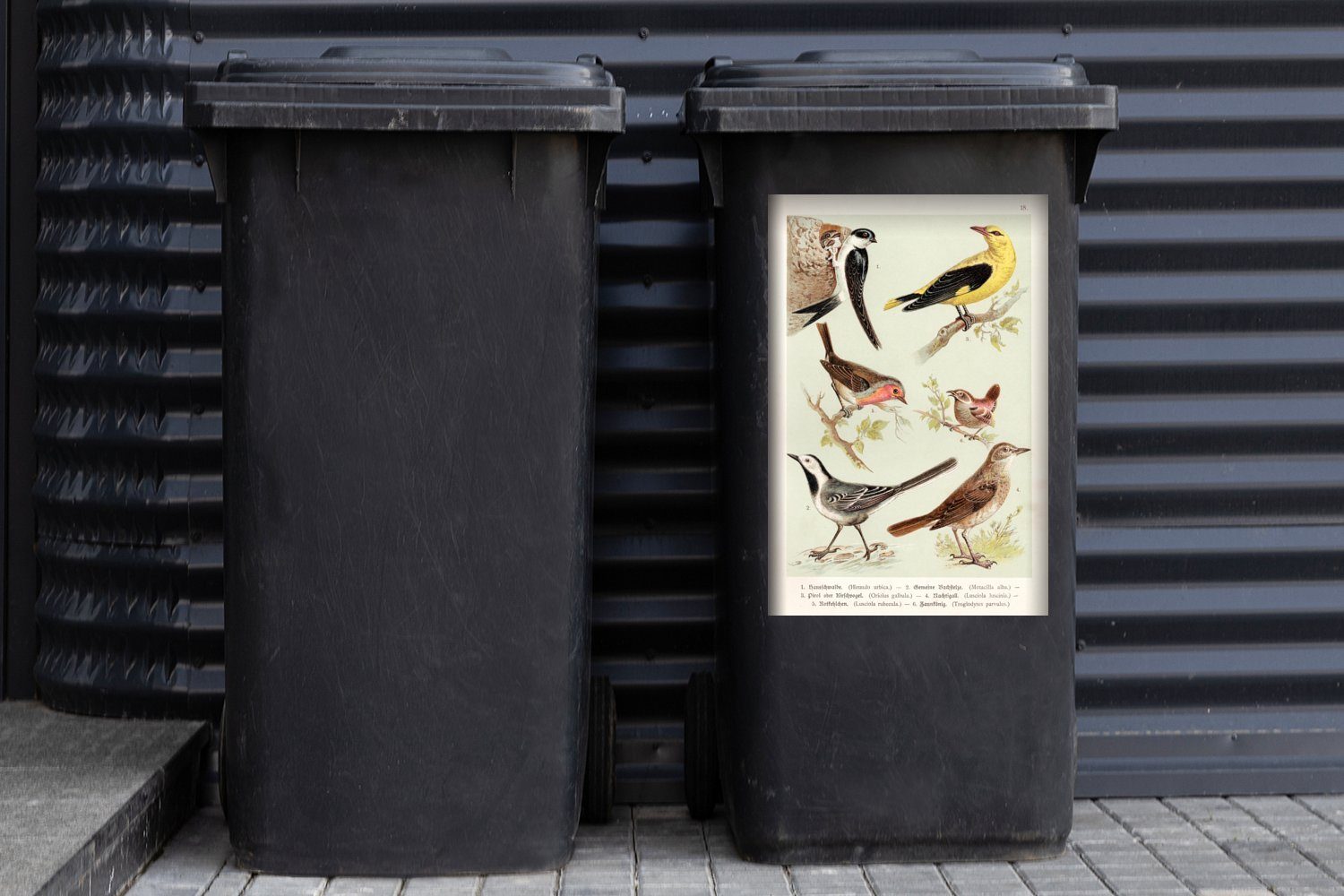 - Wandsticker St), MuchoWow Mülleimer-aufkleber, Abfalbehälter Vogel (1 Mülltonne, Vintage Container, Zeichnung - Sticker,