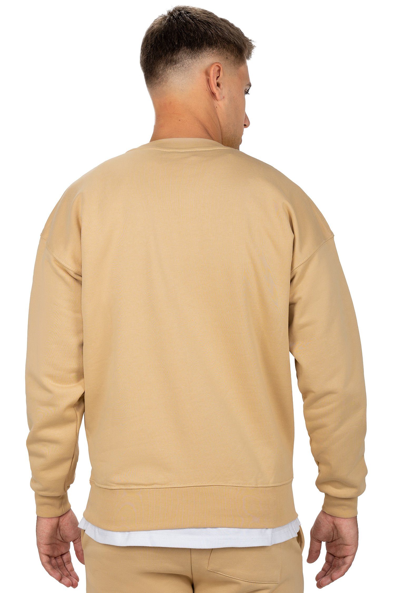 Reichstadt Sweatshirt Casual Pullover Beige mit 23RS037 Basic Details Eleganten (1-tlg)