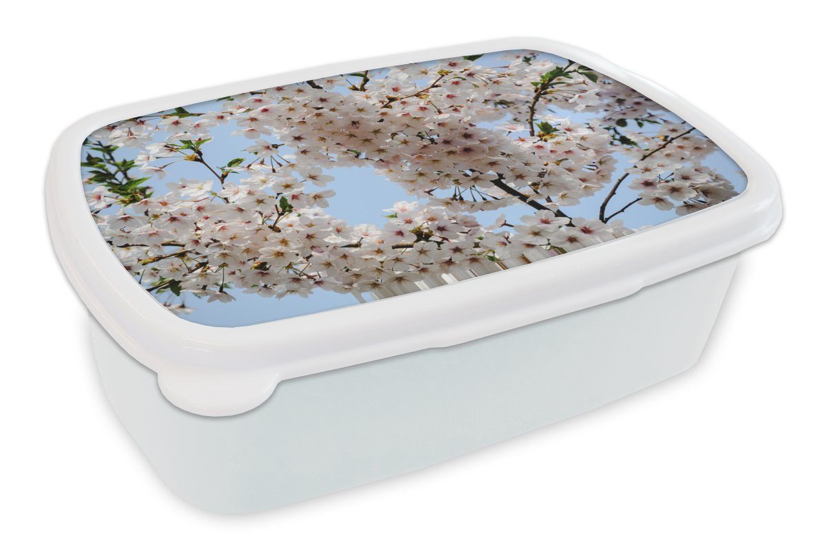 MuchoWow Lunchbox Pflanzen - Blumen - Zweig, Kunststoff, (2-tlg), Brotbox für Kinder und Erwachsene, Brotdose, für Jungs und Mädchen weiß