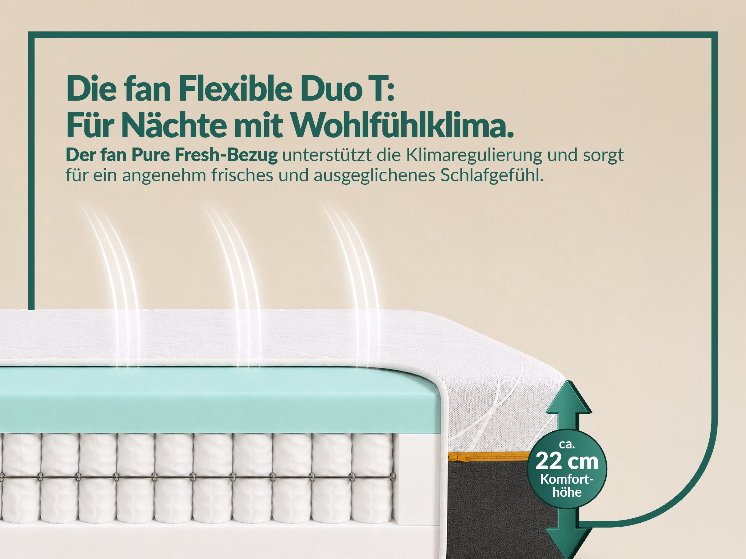 Taschenfederkernmatratze fan Flexible Duo T, Matratze 90x200 cm, 140x200 cm & mehr, in H2/H3, fan, 22 cm hoch, Wendematratze mit Pure Fresh-Bezug, 1034 Federn ( – Bild 4 von 5