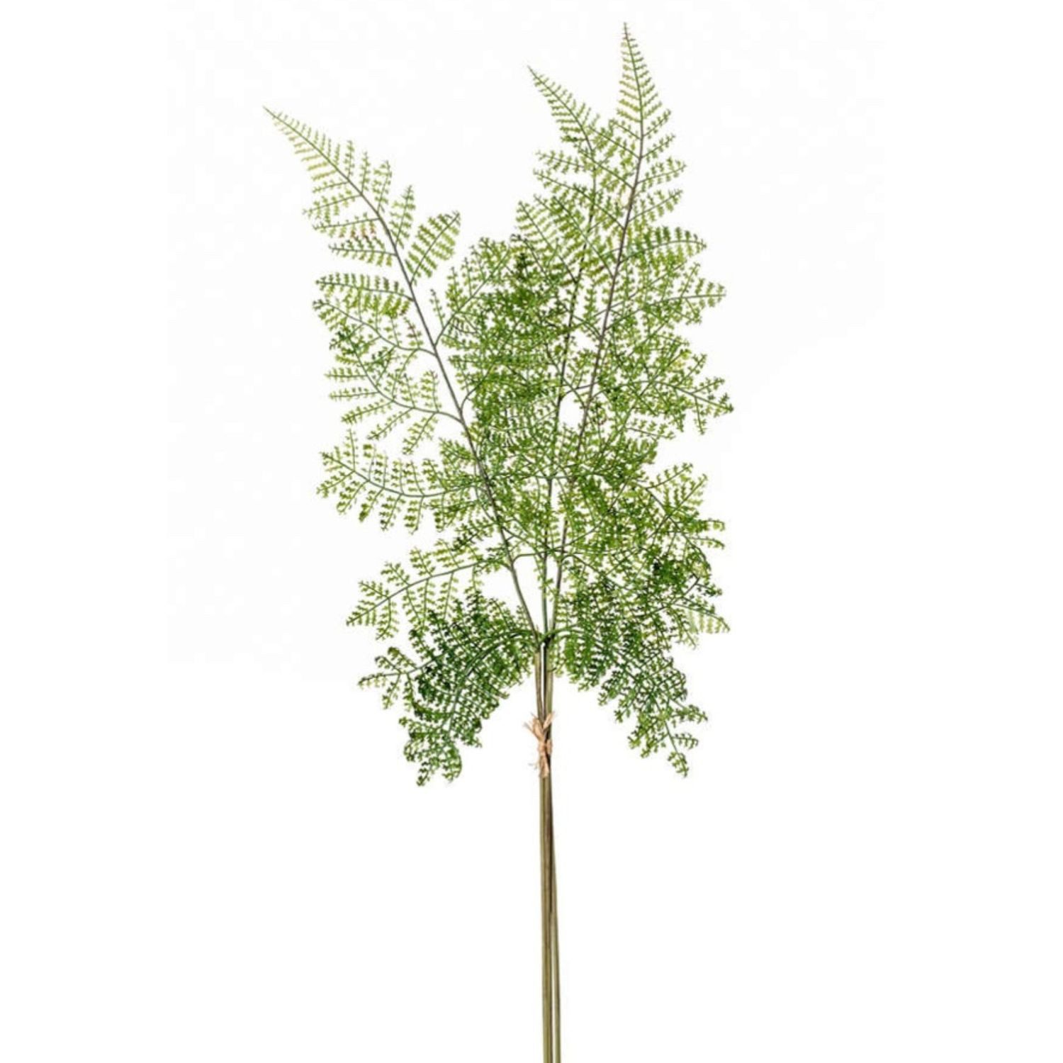 Kunstpflanze Blätterzweig Farn, Emerald, Höhe 58 cm, Bündel, Grün, Farn, H: 58cm