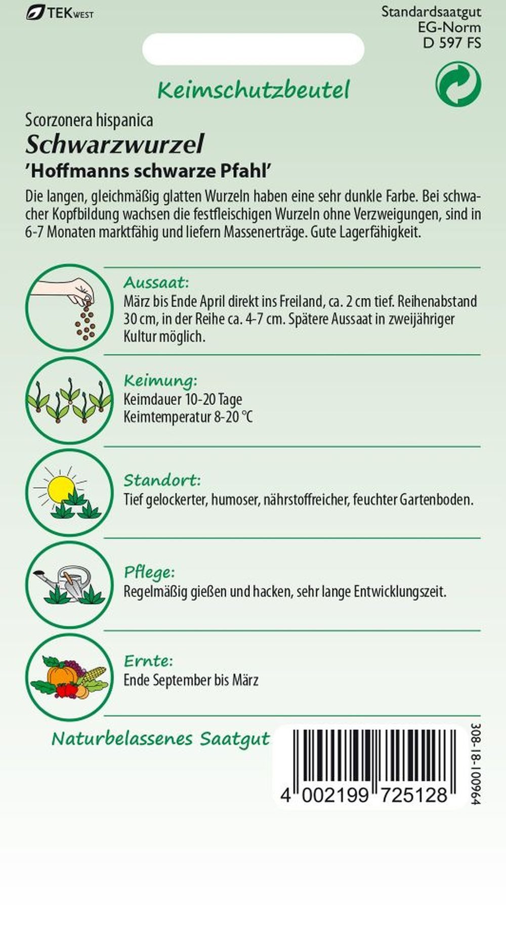SAMEN PFANN Gemüsesamen Schwarzwurzeln, Schwarze Pfahl - Saatgut Samen, Scorzonera hispanica