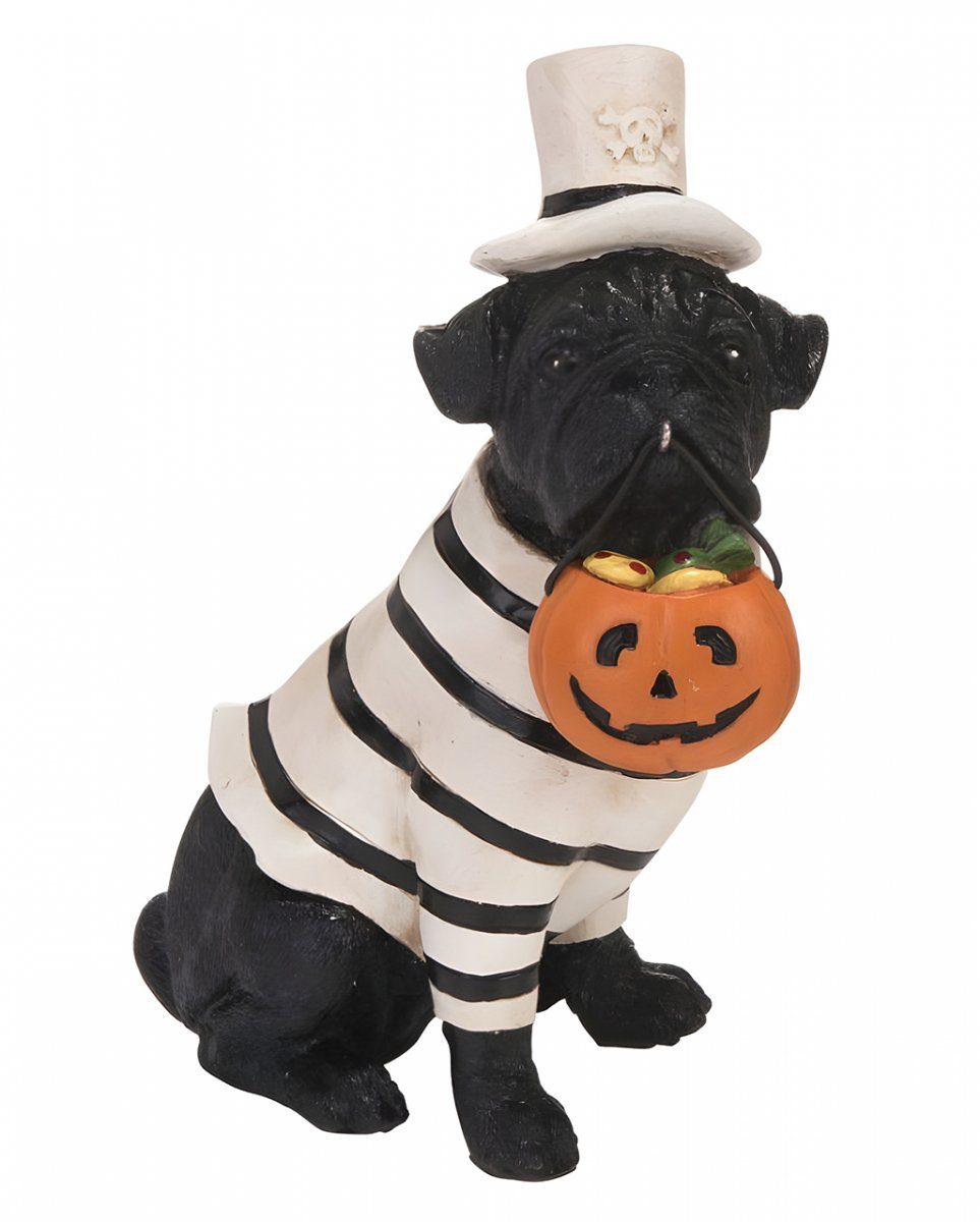 Horror-Shop Dekofigur Verkleideter Halloween Mops mit Kürbis Eimerchen 1