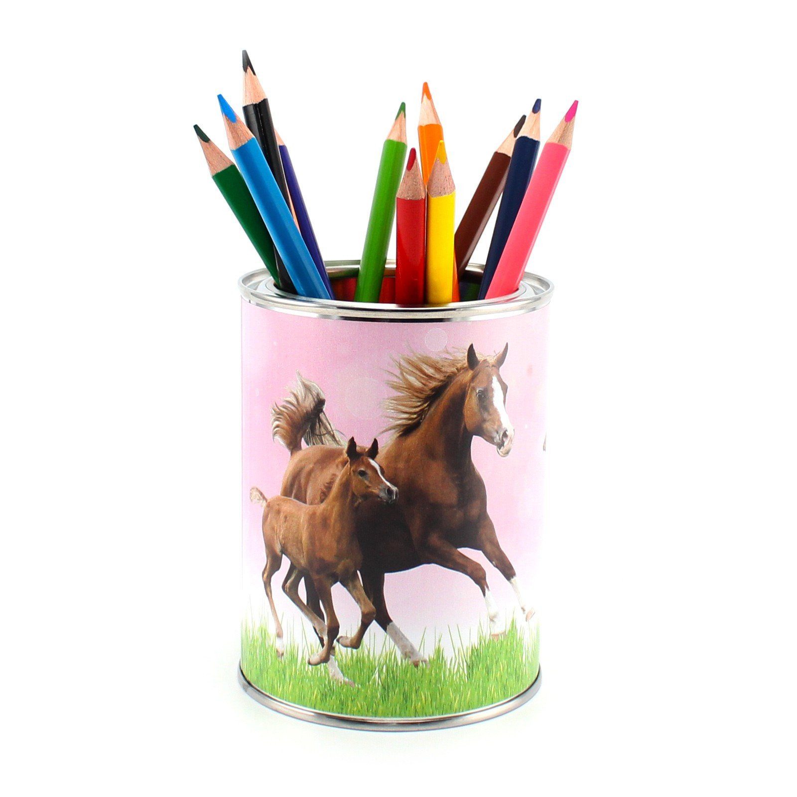 nikima Хранилищаsbox Pferde Stifteköcher, inkl. 12 Dreikant Buntstiften