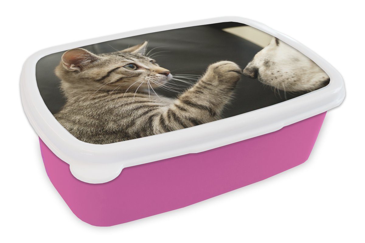 Hund (2-tlg), Brotbox Kunststoff, MuchoWow Snackbox, Pfote, Brotdose für Erwachsene, - - Katze rosa Lunchbox Kunststoff Mädchen, Kinder,