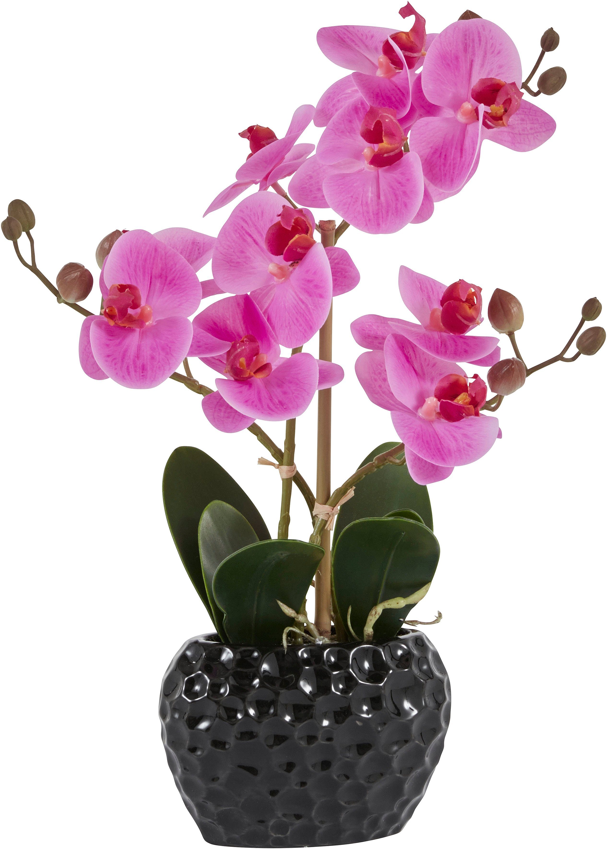 Kunstpflanze Orchidee Orchidee, Leonique, Höhe 38 cm, Kunstorchidee, im Topf