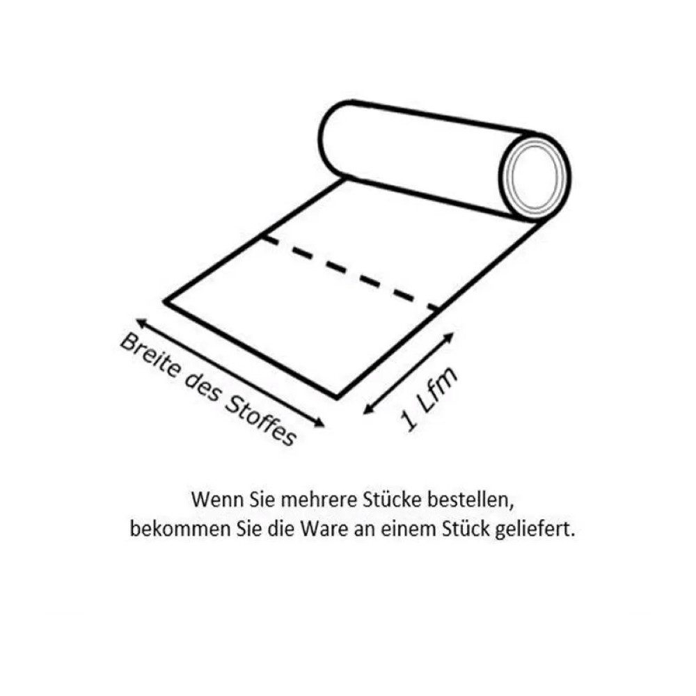 Jirex Trading Company Stoff Organza Meterware 150 cm Breit