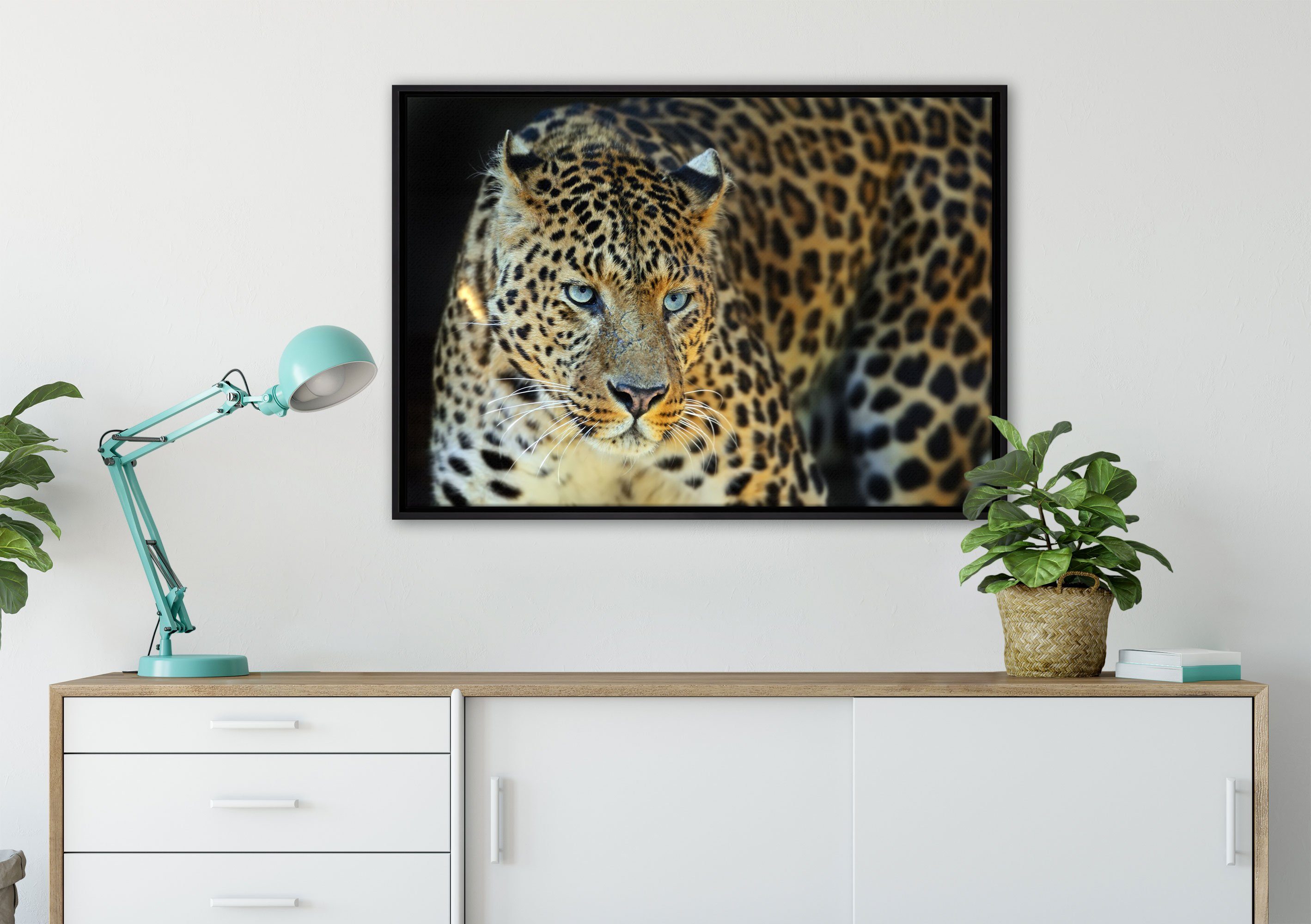 bespannt, Leinwandbild gefasst, Wanddekoration St), Leopard, (1 einem Zackenaufhänger in fertig Pixxprint Prächtiger inkl. Leinwandbild Schattenfugen-Bilderrahmen