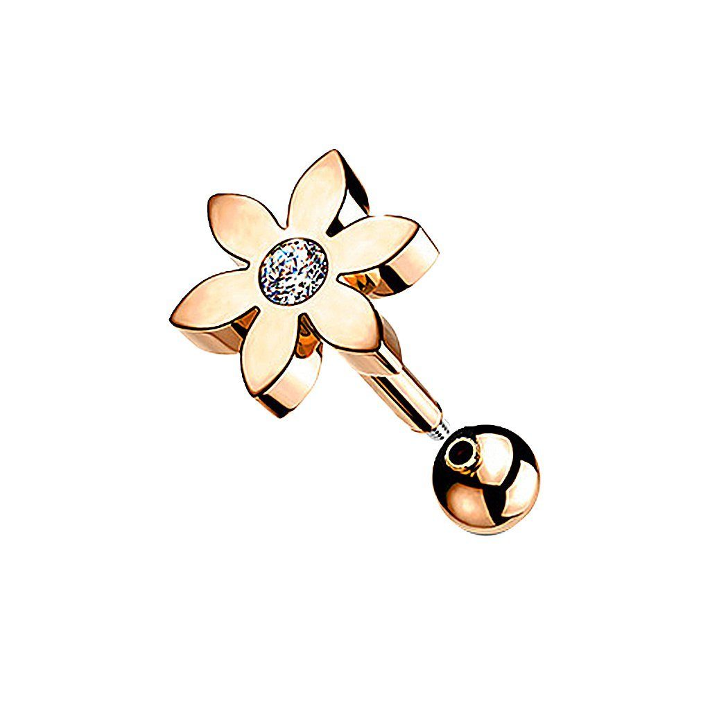 Taffstyle Piercing-Set Ohrpiercing Tragus Helix Cartilage Piercing Stecker günstig online kaufen